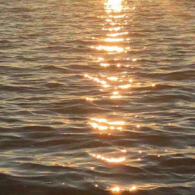 半岛登录入口-登录入口